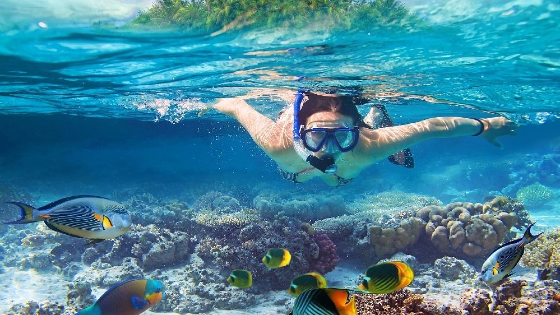 Scuba Diving
